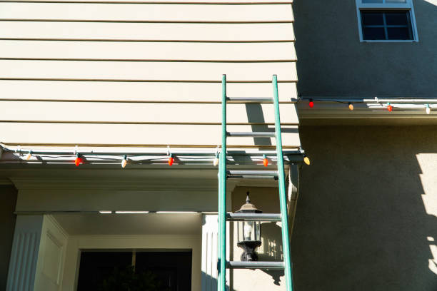 Best Residential Vinyl Siding Installation  in Bad Axe, MI