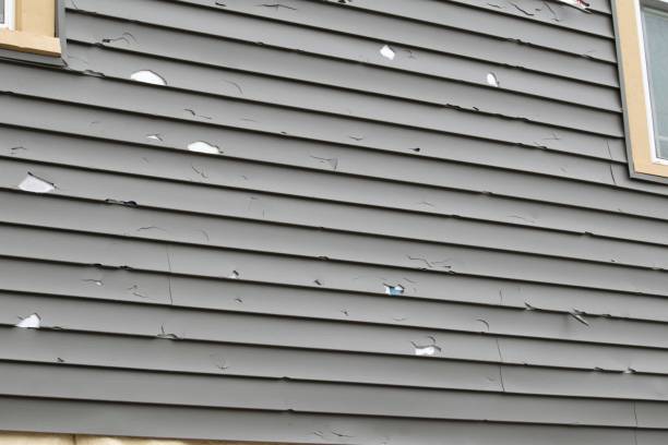 Affordable siding repair and maintenance services in Bad Axe, MI