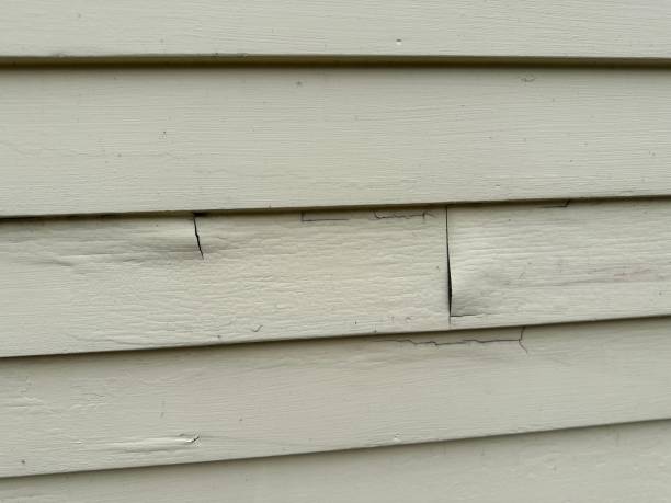 Best Siding Painting and Refinishing  in Bad Axe, MI